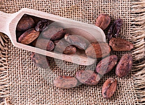 Macro view of raw cacao beans over canvas background