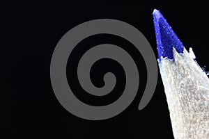 Macro view of the tip of the pencil on a black background