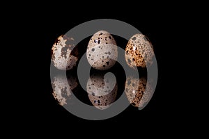 Macro view on walnut on black background