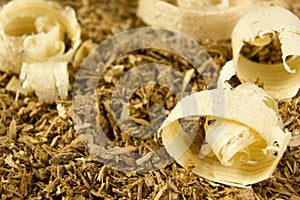 Macro view of wooden sawdust and logs