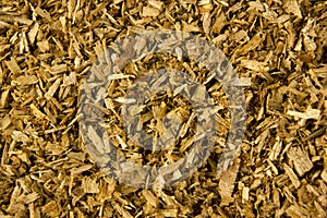 Macro view of wooden sawdust and logs