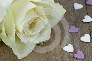 Macro of a white rose on a wooden surface