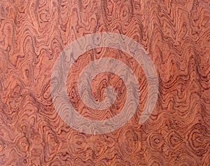 Macro of Wood Veneer