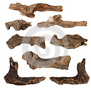 Macro wooden dried roots isolated on white background