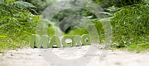 Macro word with focus effect in the forest 3D rendering