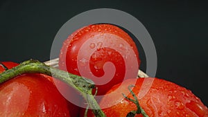 Macrography, tomatoes nestled within basket with black background. Comestible.