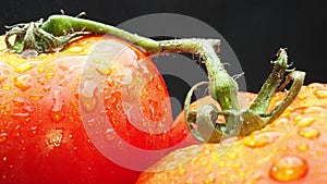 Macrography, tomatoes nestled within basket with black background. Comestible.