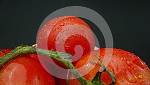 Macrography, tomatoes nestled within basket with black background. Comestible.