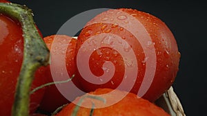 Macrography, tomatoes nestled within basket with black background. Comestible.