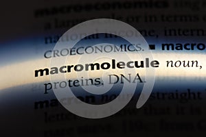 macromolecule