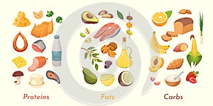 Macronutrients vector illustration. Main food groups : proteins, fats and carbohydrates. Dieting, healthy eating concept photo
