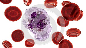 A macrophage cell, 3D illustration