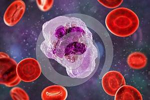 A macrophage cell, 3D illustration