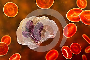 A macrophage cell, 3D illustration