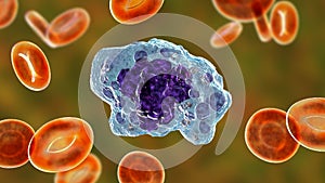 A macrophage cell, 3D illustration