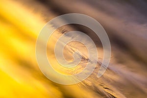 Macrophotography of a bird`s feather with multicolored reflections