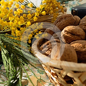 Macrophotography of walnuts and spring flowers