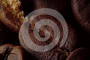 Macroscopic photo of a roasted coffee bean