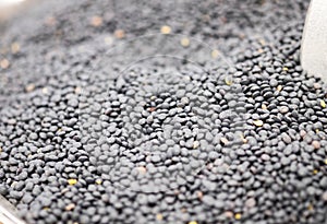 Macroshot of Black lentils, sale on local city market