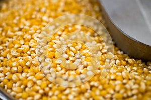 Macroshot of corn grains, sale on city market