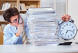 The mad auditor looking for errors in the report