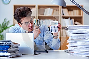 The mad auditor looking for errors in the report