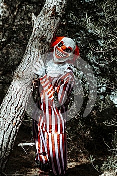 mad evil clown clinging to the trunk of a tree