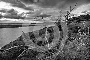 The Mad River, Humboldt County, California, Black and White