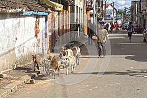 Madagascar. Antsirabe.