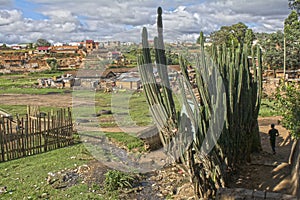 Madagascar. Antsirabe.