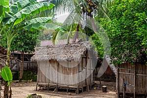 Madagascar, Nosy Be,  Lokobe Nature Special Reserve