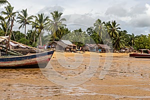 Madagascar, Nosy Be,  Lokobe Nature Special Reserve