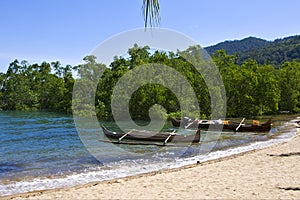 madagascar nosy be rock stone branch boat palm lagoon and coastl