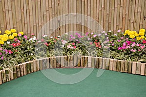 Madagascar periwinkle garden with bamboo tube border and background