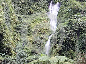 Madakaripura Waterfall in Bromo Tengger Semeru National Park