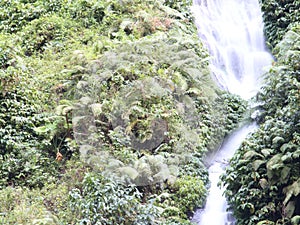 Madakaripura Waterfall in Bromo Tengger Semeru National Park