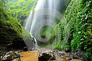 Madakaripura Waterfall-Deep Forest Waterfall in East Java, Indonesia