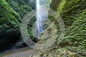 Madakaripura Waterfall-Deep Forest Waterfall in East Java, Indonesia
