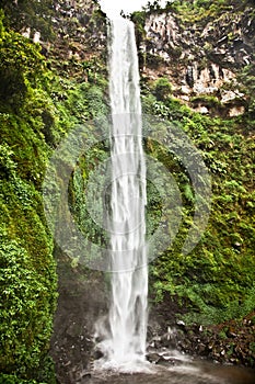 Madakaripura Waterfall East Java, Indonesia