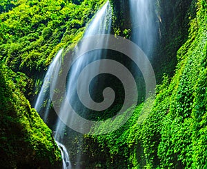 Madakaripura Waterfall, East Java, Indonesia