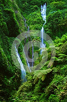 Madakaripura Waterfall, East Java, Indonesia