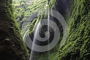 Madakaripura waterfall, East Java. Water streaming down cliff covered with green vegetation.