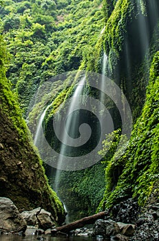 Madakaripura waterfall. Indonesia.