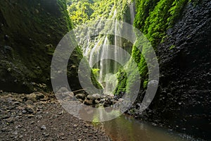 Madakaripura Waterfall in national park. The tallest waterfall in Java Island. Nature landscape background of travel