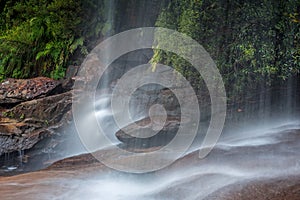 Maddens Falls in Darkes Forest
