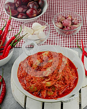 Indonesian Spicy called  Sambal Tanak photo