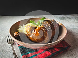 Mole Poblano with Chicken and rice is Mexican Food in Puebla Mexico