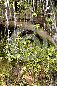 Madeira