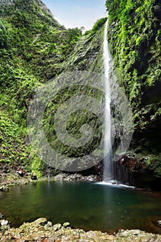 Madeira - Beautiful waterfall in the end of Levada Caldeirao Verde, green rain forest jungle photo