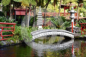 Botánico jardín 